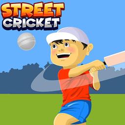 Street Cricket